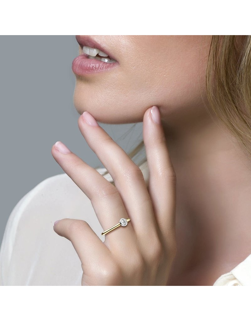 Blush Blush Ring 1124BZI/54 14kr Geelgoud Bicolor gezet met Briljant geslepen Zirkonia Maat 54