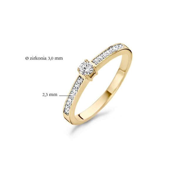 Blush 1145BZI/54 Ring 14 krt geelgoud met zirkonia maat 54