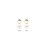 Blush Blush Oorbedels 9046YPW 14k Geelgoud met Parel 2.9mm