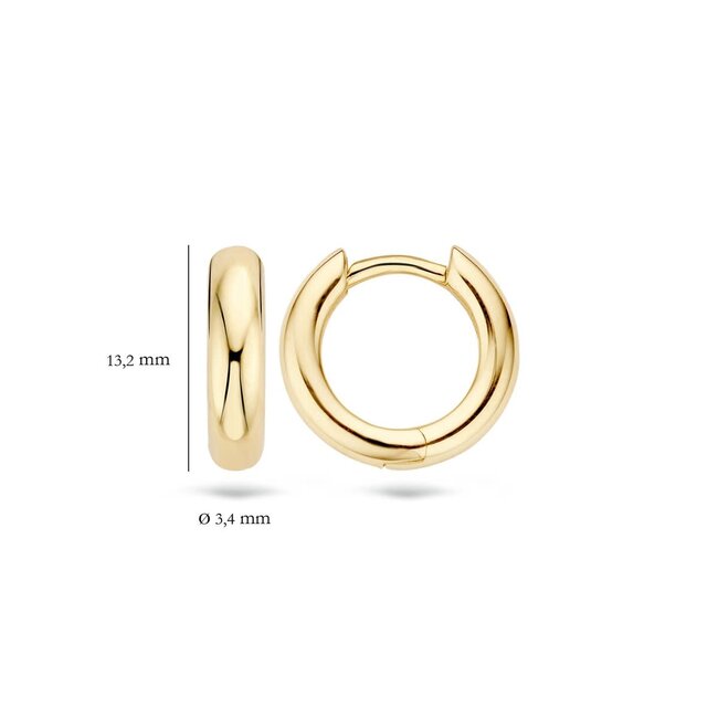 Blush 7026YGO Oorbellen creool 14 krt geelgoud