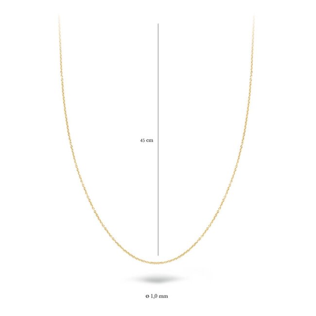 Blush 3046YGO/45 Collier 14 krt geelgoud 45 CM