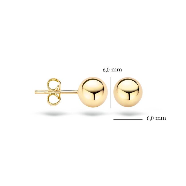 Blush 7123YGO Oorbellen 14 krt geelgoud