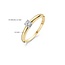 Blush Blush Ring 1067BZI/54 14k Geelgoud gezet met Briljant geslepen Zirkonia 2,8mm Maat 54