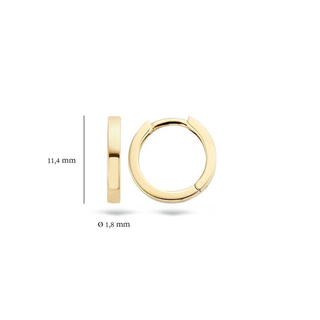 Blush 7202YGO Oorbellen 14 krt geelgoud