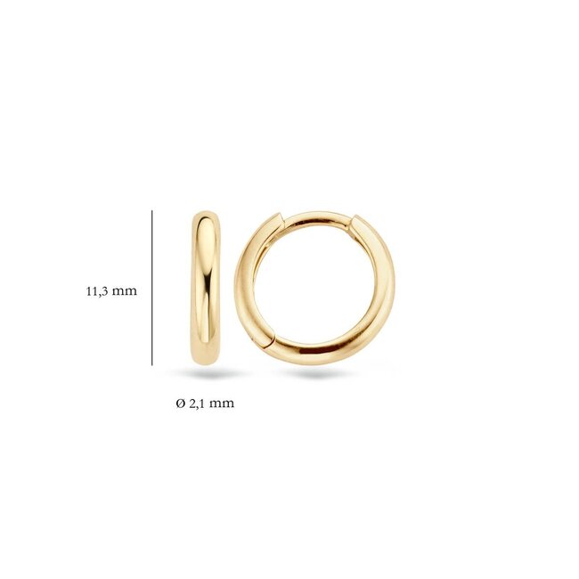 Blush 7203YGO Oorbellen 14 krt geelgoud