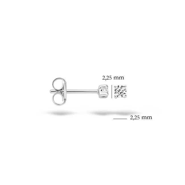 Blush 7138WZI Oorbellen 14 krt witgoud met zirkonia