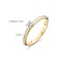 Blush 1112YZI/54 Ring 14 krt geelgoud met zirkonia  maat 54
