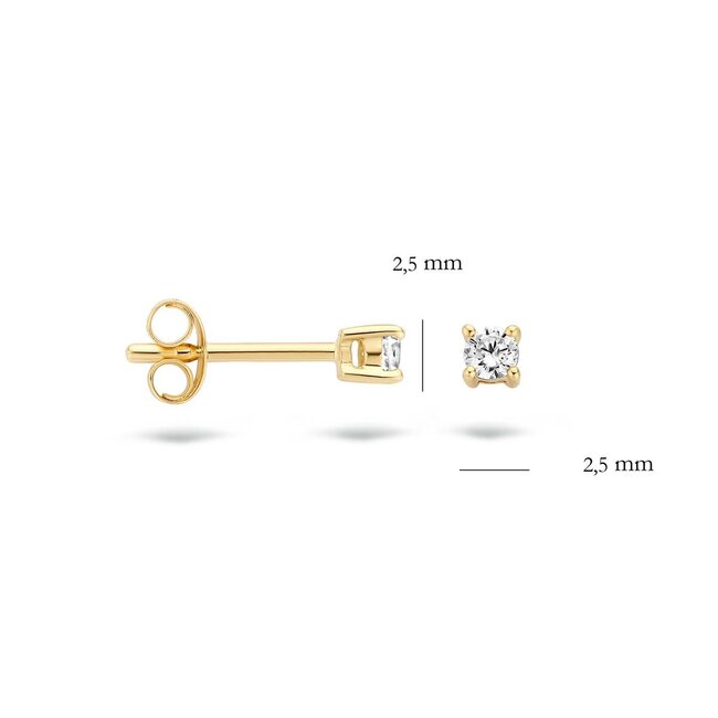 Blush Blush Oorbellen 7211YZI Oorsteker 14k Geelgoud Gezet met Zirkonia 2.5mm