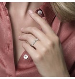 Blush 1146BZI/54 Ring 14 krt geelgoud met zirkonia maat 54