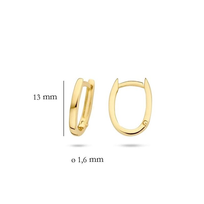 Blush Blush Oorbellen 7223YGO 14k Geelgoud Vlak Ovaal 1.6mm x 13mm