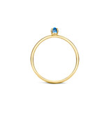 Blush Blush Ring 1204YLB/54 14k Geelgoud met Blauw Topaaz Maat 54