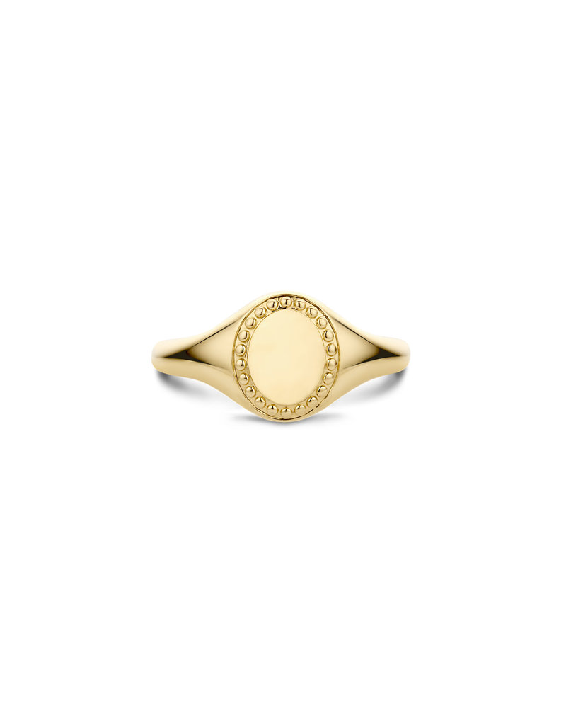 Blush Blush Ring 1206YGO/50 14k Geelgoud met Motief Maat 50