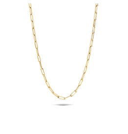 Blush Blush Collier 3101YGO 14k Geelgoud Anker Ketting 45cm