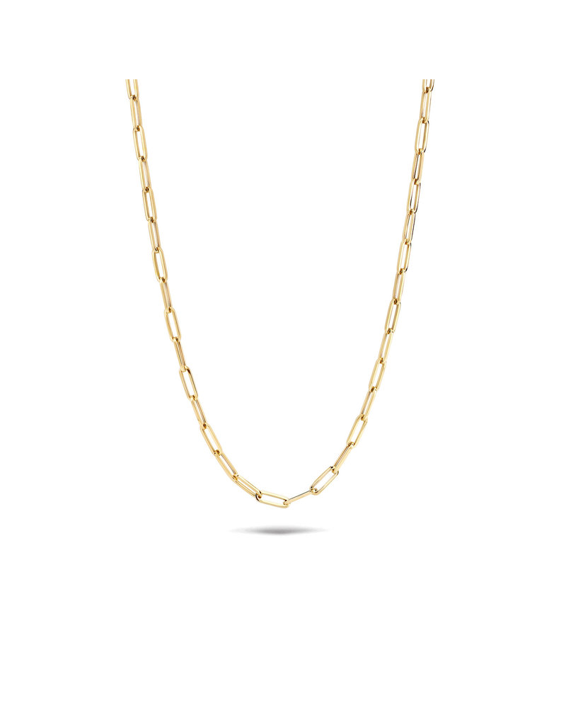 Blush Blush Collier 3101YGO 14k Geelgoud Closed forever Ketting 45cm