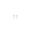 Blush Blush Oorbellen 7247YGO Oorstekers 14k Geelgoud Sterretjes