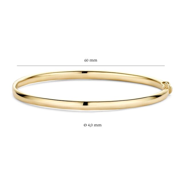 Blush Blush Armband 2155YGO Bangle 14k Geelgoud 4mm Maat 60