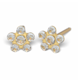 Tiny Tips TT-6004 Oorbellen daisy crystal - Gold plated