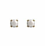 Tiny Tips TT-3301 Oorbellen white pearl - Gold plated - 3mm