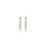 Blush Blush Oorbellen 7134YZI 14k Geelgoud met Zirkonia 1.9mm x 10.8mm