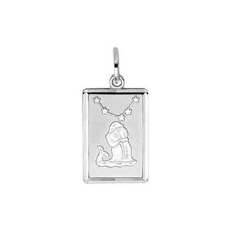 Blinckers Jewellery Huiscollectie 13.00144 Hanger Sterrenbeeld Waterman Gediamanteerd