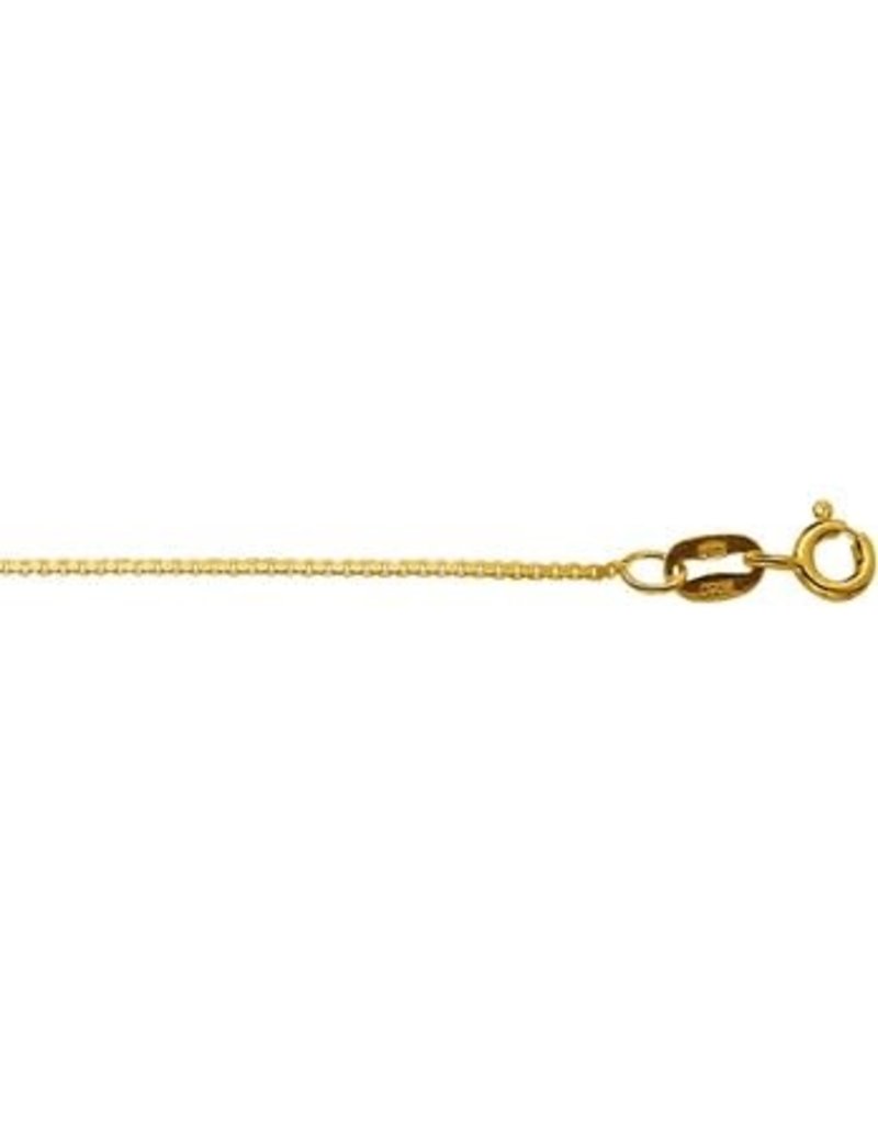 Blinckers Jewelry Huiscollectie 40.18362 ketting goud 40cm