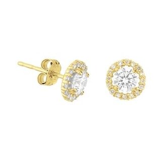 Blinckers Jewellery Huiscollectie 40.18272 Oorknoppen Zirkonia 14krt Goud
