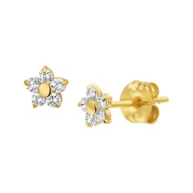 Blinckers Jewellery Huiscollectie 40.18269 Oorbellen 14Krt Goud met Zirkonia