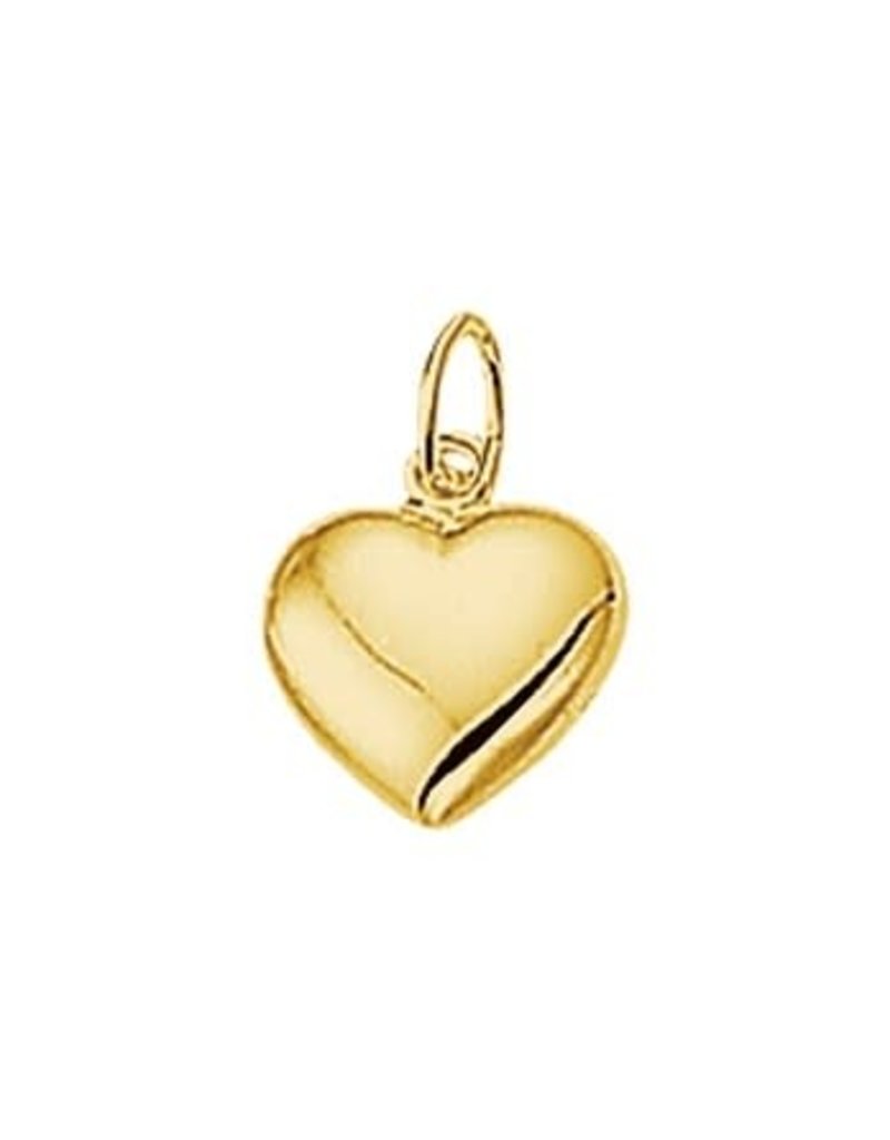 Blinckers Jewelry Huiscollectie BJ 40.18469 14K goude bedel hart