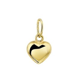 Blinckers Jewelry Huiscollectie BJ 40.18468 Bedel Hart 14Krt Goud