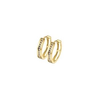 Blinckers Jewellery Huiscollectie 40.18313 Klapoorringen Zirkonia 14krt Goud