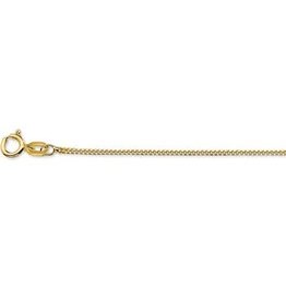 Blinckers Jewelry Huiscollectie 40.18369 Ketting 14krt goud 42cm