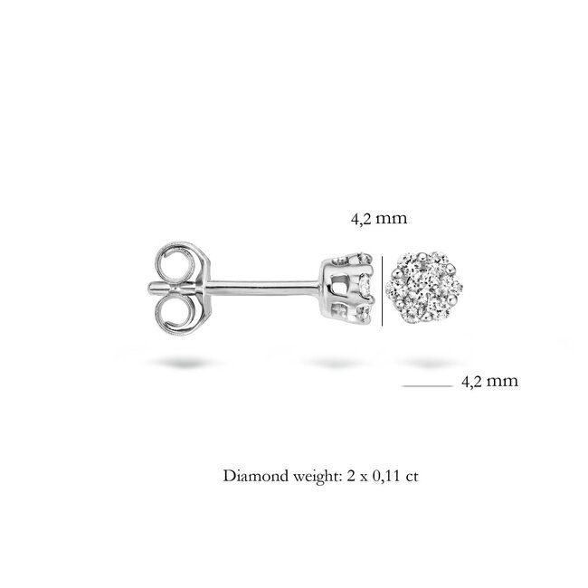 Blush Blush Oorbellen 7604WDI 14k Witgoud 0,22crt G SI Briljant geslepen Diamant