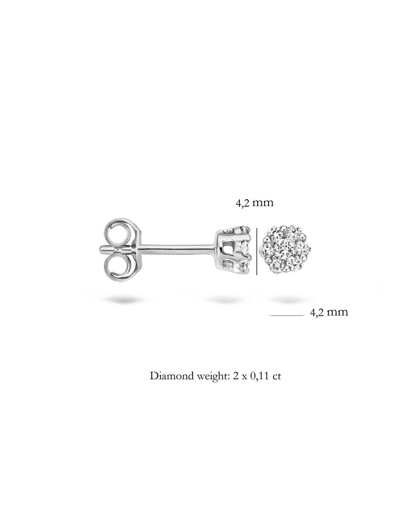 Blush Blush 7605WDI Oorstekers 14 Krt witgoud met diamant 0.11