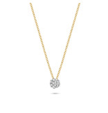 Blush Blush Collier 3602BDI 14k Geelgoud 0,07crt G SI Biljant geslepen Diamant