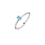 Blush Blush Ring 1204WBT/52 14kr Witgoud gezet met Blauw Topaas Maat 52