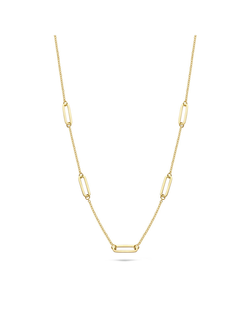 Blush Blush Collier 3102YGO 14k Geelgoud met Closed Forever Elementen 45cm