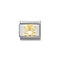 Nomination NominationSchakel 030112-11 Composable Classic Staal met 18k Geelgouden Beer