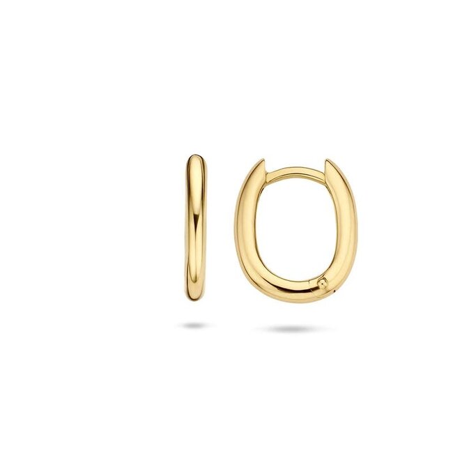 Blush Blush Oorbellen 7218YGO Oorringen 14kr Geelgoud Glad Ovaal Bol 2mm x 16mm