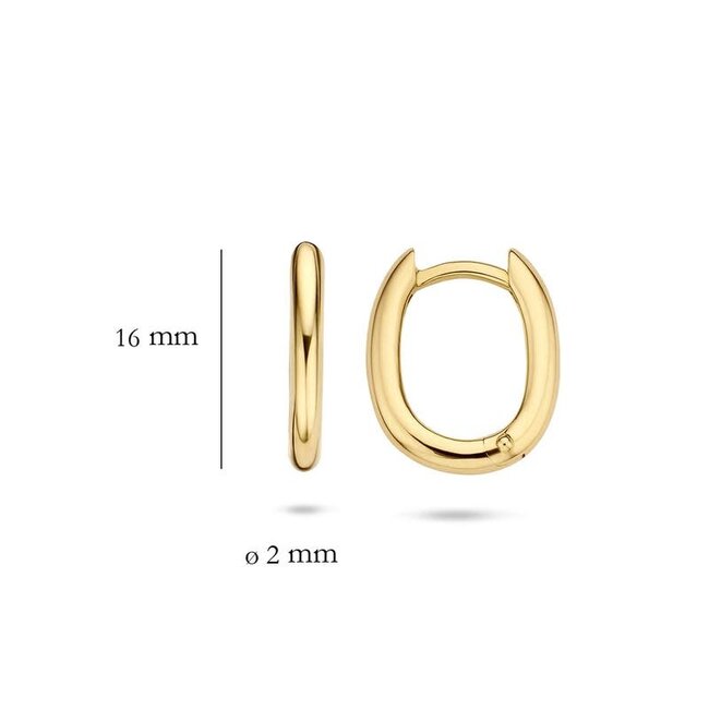 Blush Blush Oorbellen 7218YGO Oorringen 14kr Geelgoud Glad Ovaal Bol 2mm x 16mm
