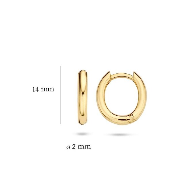 Blush Blush Oorbellen 7217YGO 14k Geelgoud Glad Ovaal 2mm x 14mm