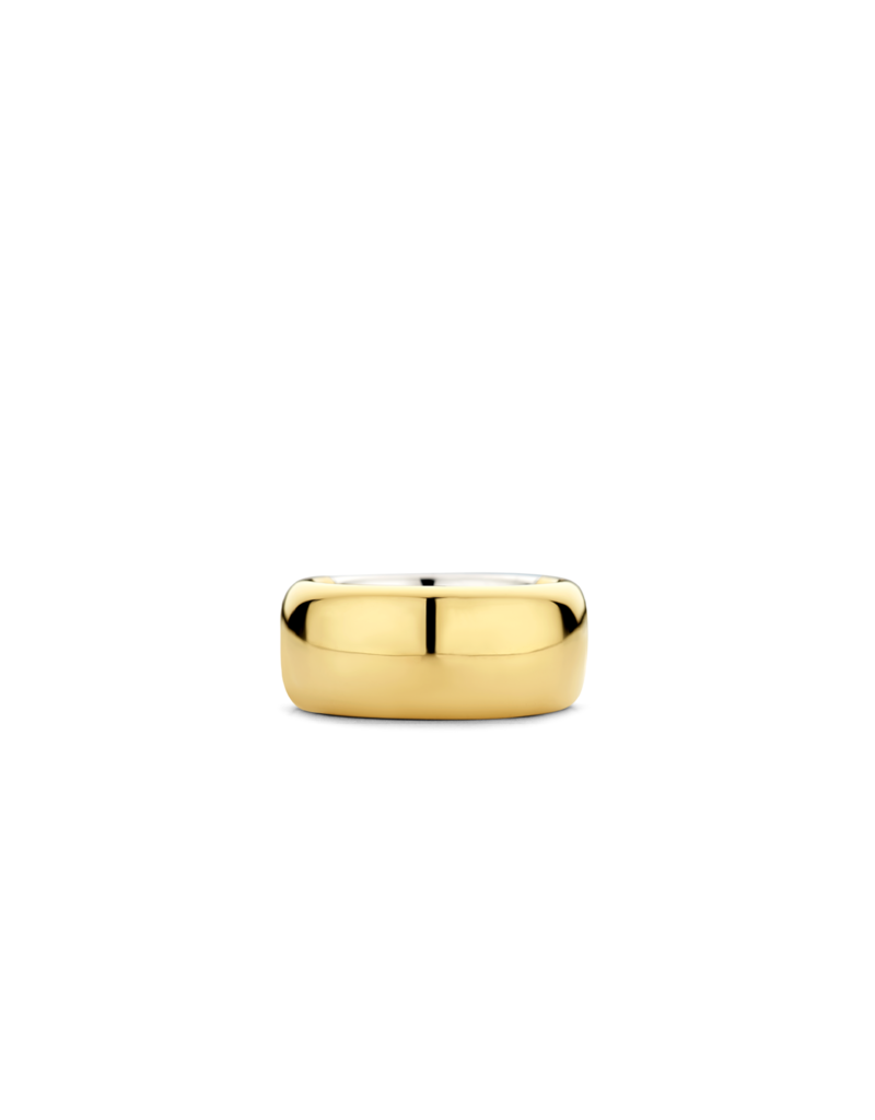 Ti Sento Milano Ti Sento Ring 12234SY/54 ring goldplated breed 10mm