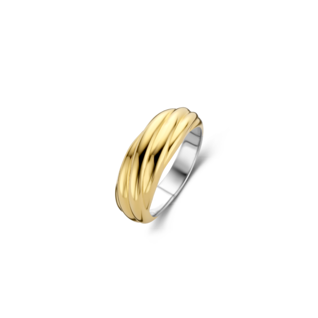 Ti Sento Milano Ti Sento Ring 12239SY/54 Zilver met Geelgouden Plating Maat 54