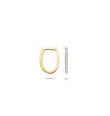 Blush Blush Oorbellen 7622YDI 14k Geelgoud 0,10crt G SI Briljant geslepen Diamant