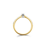 Blush Blush Ring 1657BDI/54 14k Geelgoud 0,14crt G SI Briljant geslepen Diamant Maat 54