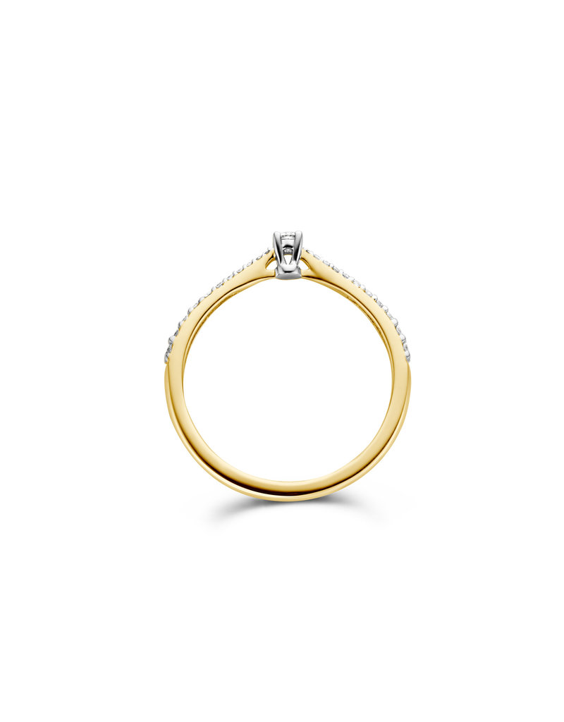 Blush Blush Ring 1657BDI/54 14k Geelgoud 0,14crt G SI Briljant geslepen Diamant Maat 54