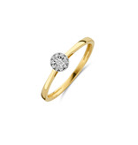 Blush Blush Ring 1647BDI/54 14k Geelgoud 0,07crt G SI Briljant geslepen Diamant Maat 54