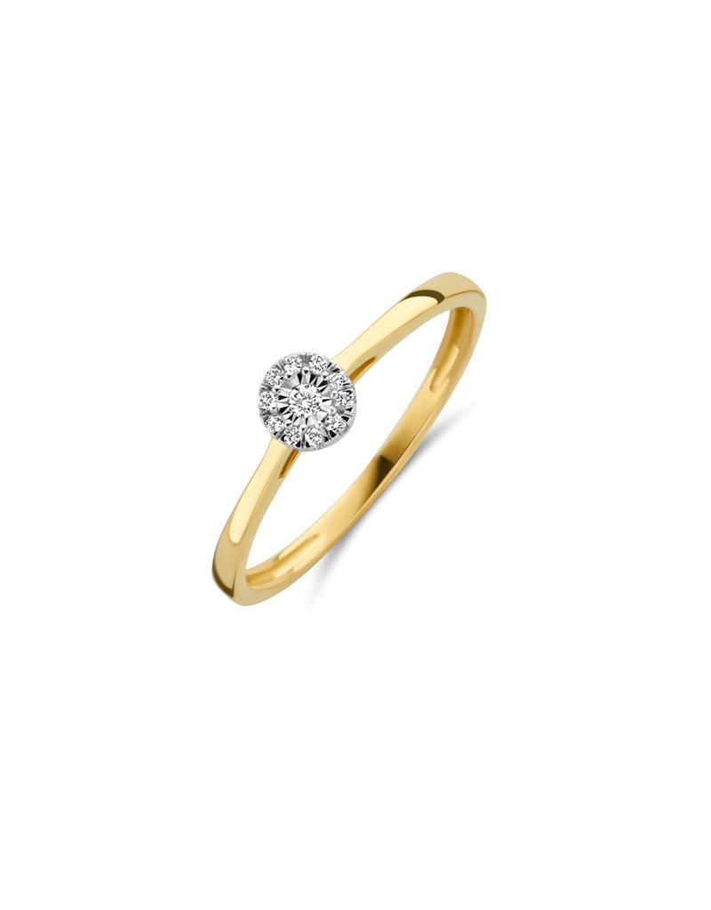 Blush Blush Ring 1647BDI/54 14k Geelgoud 0,07crt G SI Briljant geslepen Diamant Maat 54