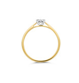 Blush Blush Ring 1647BDI/54 14k Geelgoud 0,07crt G SI Briljant geslepen Diamant Maat 54