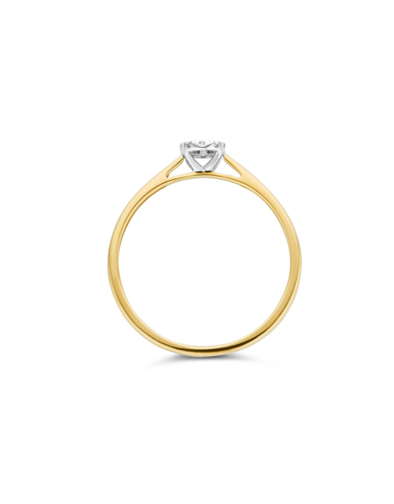Blush Blush 1647BDI/54 ring 14k geel goud met diamant/briljant  in  Halo zetting