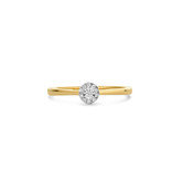 Blush Blush Ring 1647BDI/54 14k Geelgoud 0,07crt G SI Briljant geslepen Diamant Maat 54